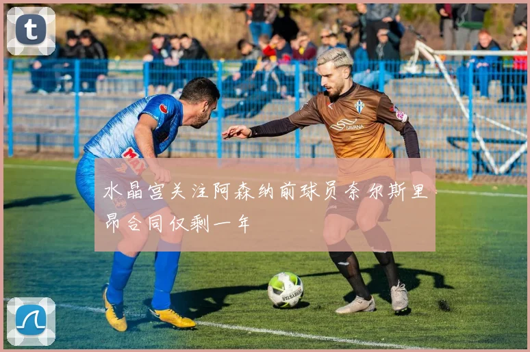 水晶宫关注阿森纳前球员奈尔斯里昂合同仅剩一年
